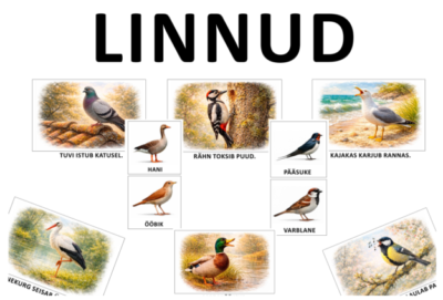 Linnud