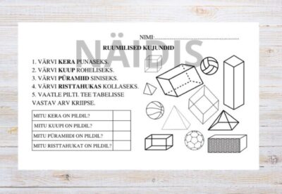 Ruumilised kujundid. Iseseisev töö.