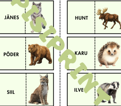Kevadine sõna+pildi doomino lastele