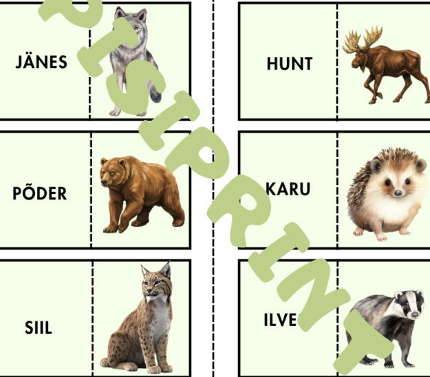 Kevadine sõna+pildi doomino lastele