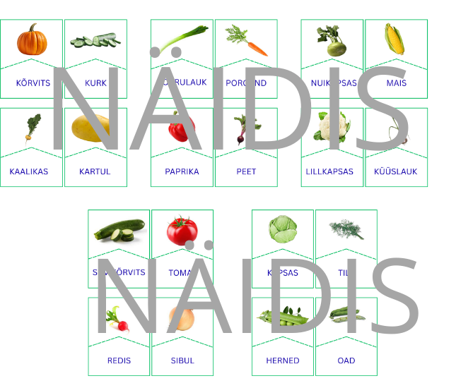 Köögiviljade õppemäng – sõna ja pildi sobitamise lugemismäng (20 kaarti)