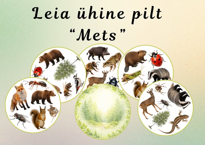 Leia ühine pilt “Mets”