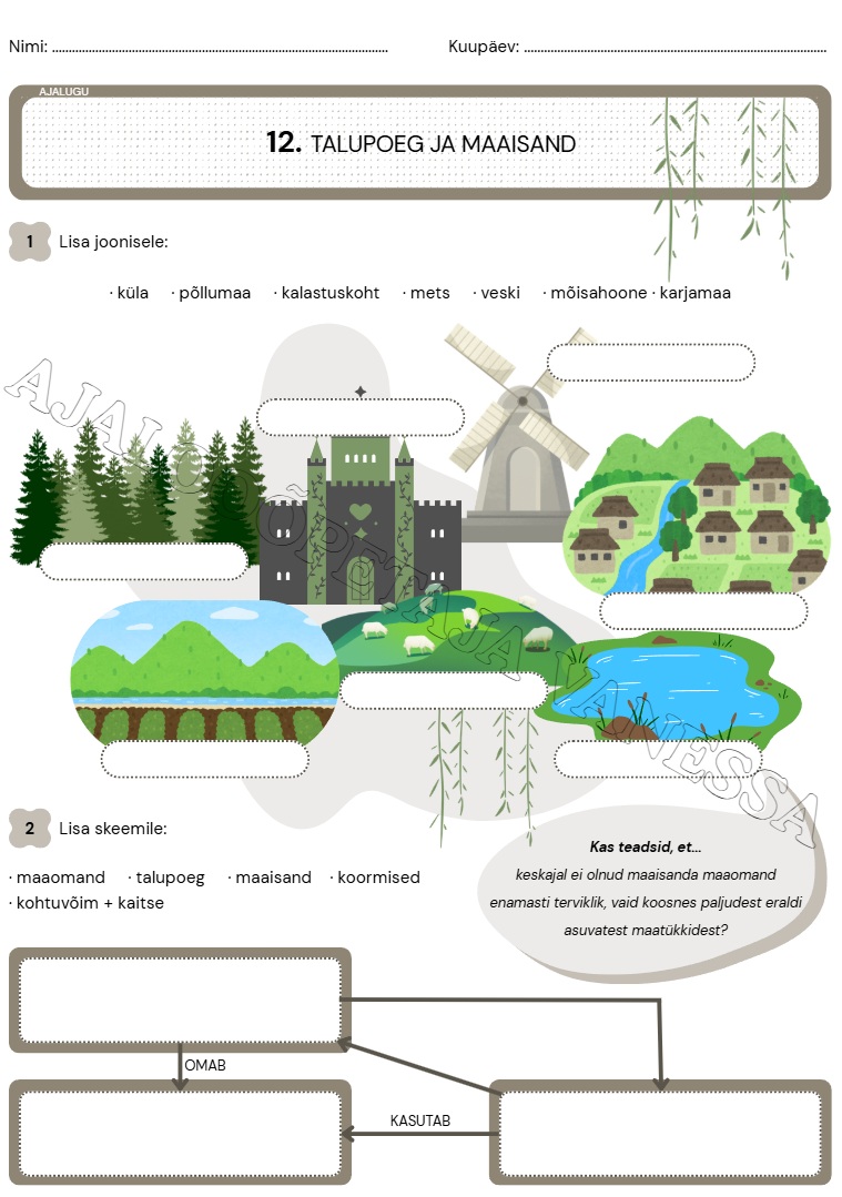 Töölehtede pakett "Elu maal" (4 tk) - Image 3