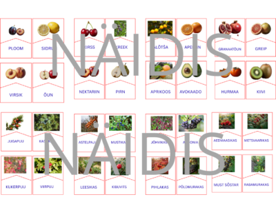 Puuviljade ja marjade õppemäng- sõna ja pildi sobitamise lugemismäng (40 kaarti)