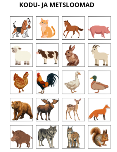 Suur baassõnavara kogumik (174 pilti) erinevatest kategooriatest