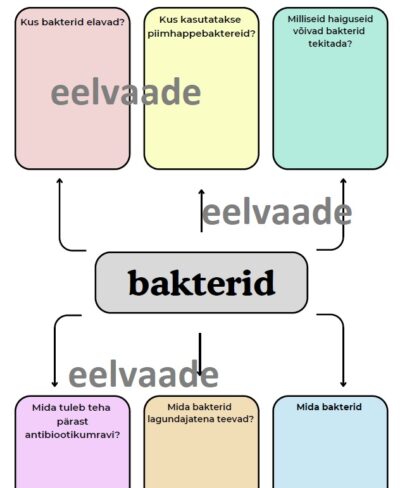 bakterite tähtsus inimese elus