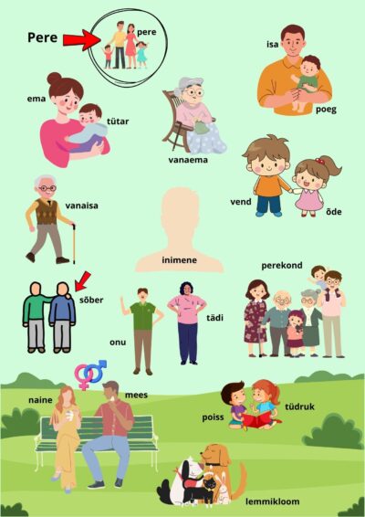 Pere ja pereliikmete sõnavara – 18 eesti keele õppimise kaarti + kontrollleht (visuaalne õpe)