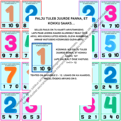 PALJU TULEB JUURDE PANNA, ET KOKKU SAAKS...