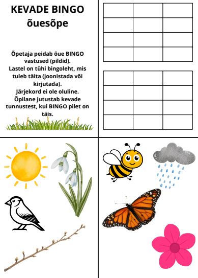 Kevade tunnused BINGO