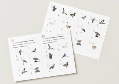 Ränd-ja paigalinnud