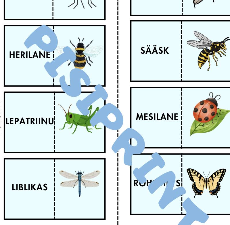 Kevadine sõna+pildi doomino lastele - Image 3