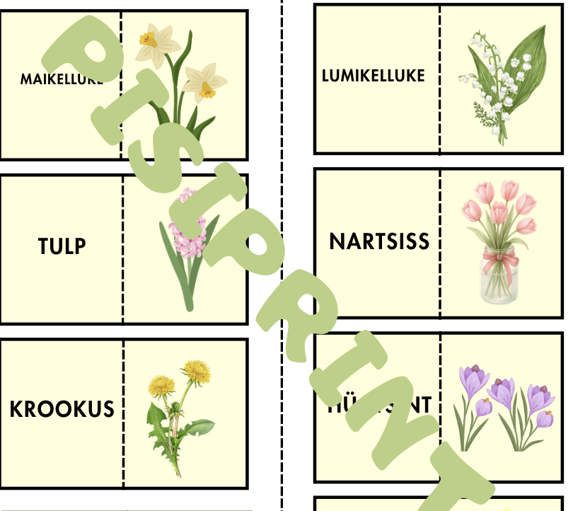 Kevadine sõna+pildi doomino lastele - Image 2