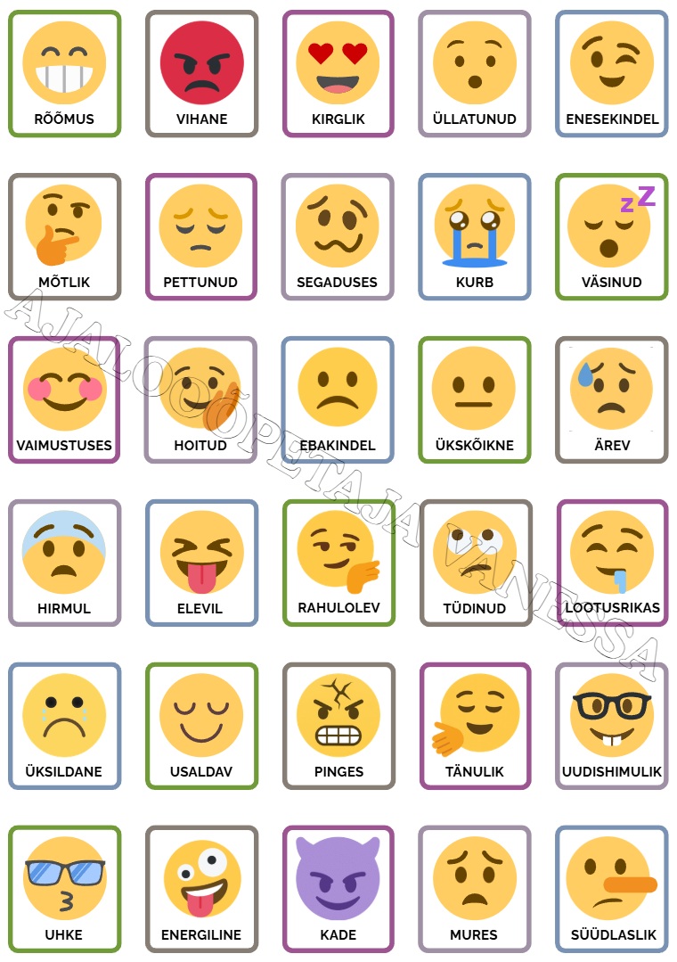 Emotsioonide sõnastik (1 lk)