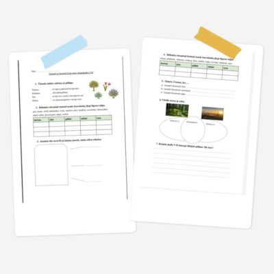 Loomad ja taimed erinevates maismaa elupaikades tööleht/teadmiste kontroll