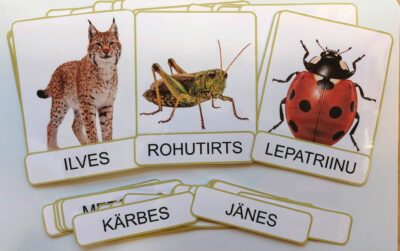 Loodusteemaline piltide ja sõnasedelite komplekt