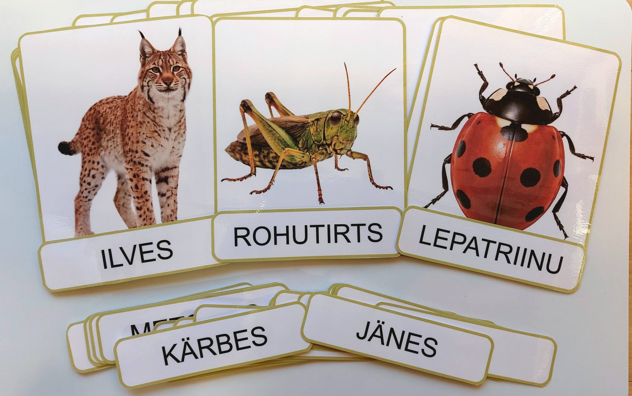 Loodusteemaline piltide ja sõnasedelite komplekt