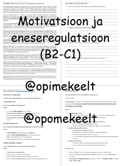 Motivatsioon ja eneseregulatsioon (B2-C1)