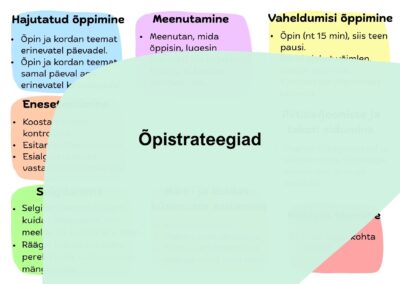 Õpistrateegiad