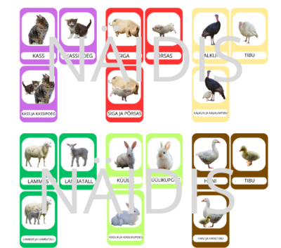 Koduloomade pered – 36 värvikoodiga õppekaarti (ema, laps ja koos)