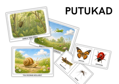 Putukad - laused ja pildid