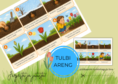 TULBI ARENG