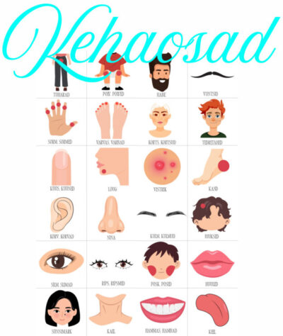 Kehaosad. Kehaehitus. Keha