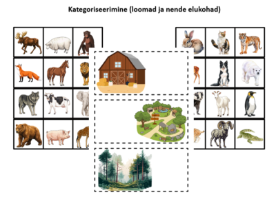 Kategoriseerimine - loomad ja nende elukohad