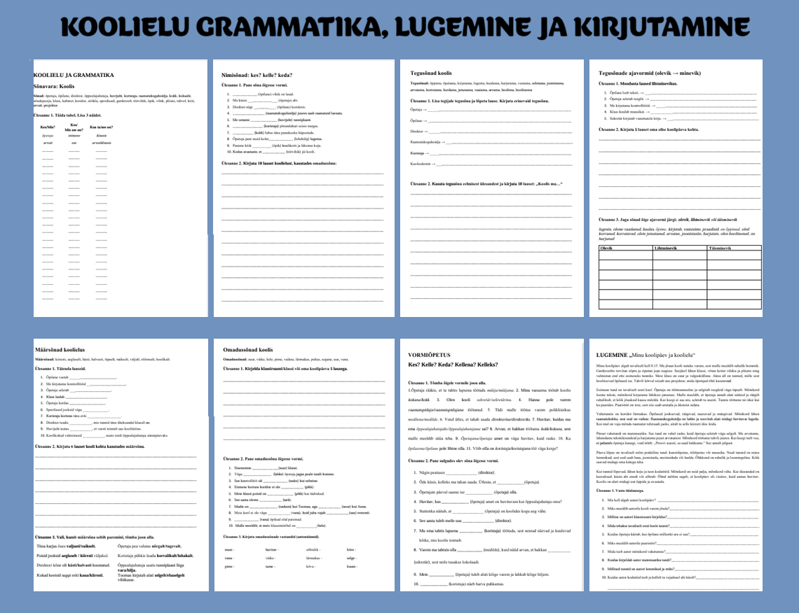 Koolielu grammatika, lugemine ja kirjutamine (A2-B1)