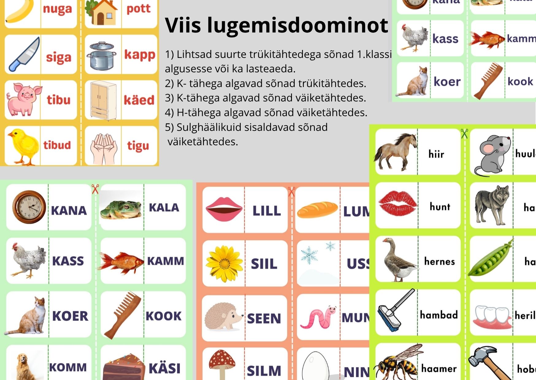 Viis lugemisdoominot