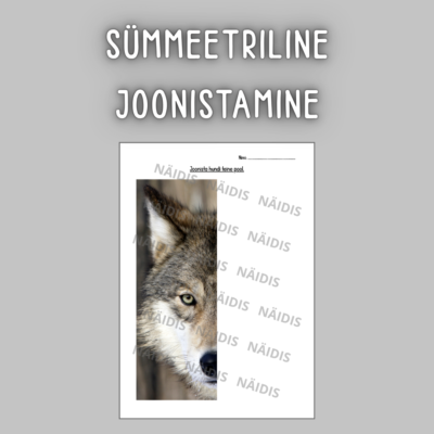 SÜMMEETRILINE JOONISTAMINE