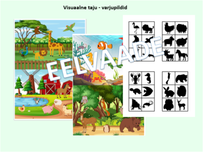 Visuaalse taju arendamine - varjupildid