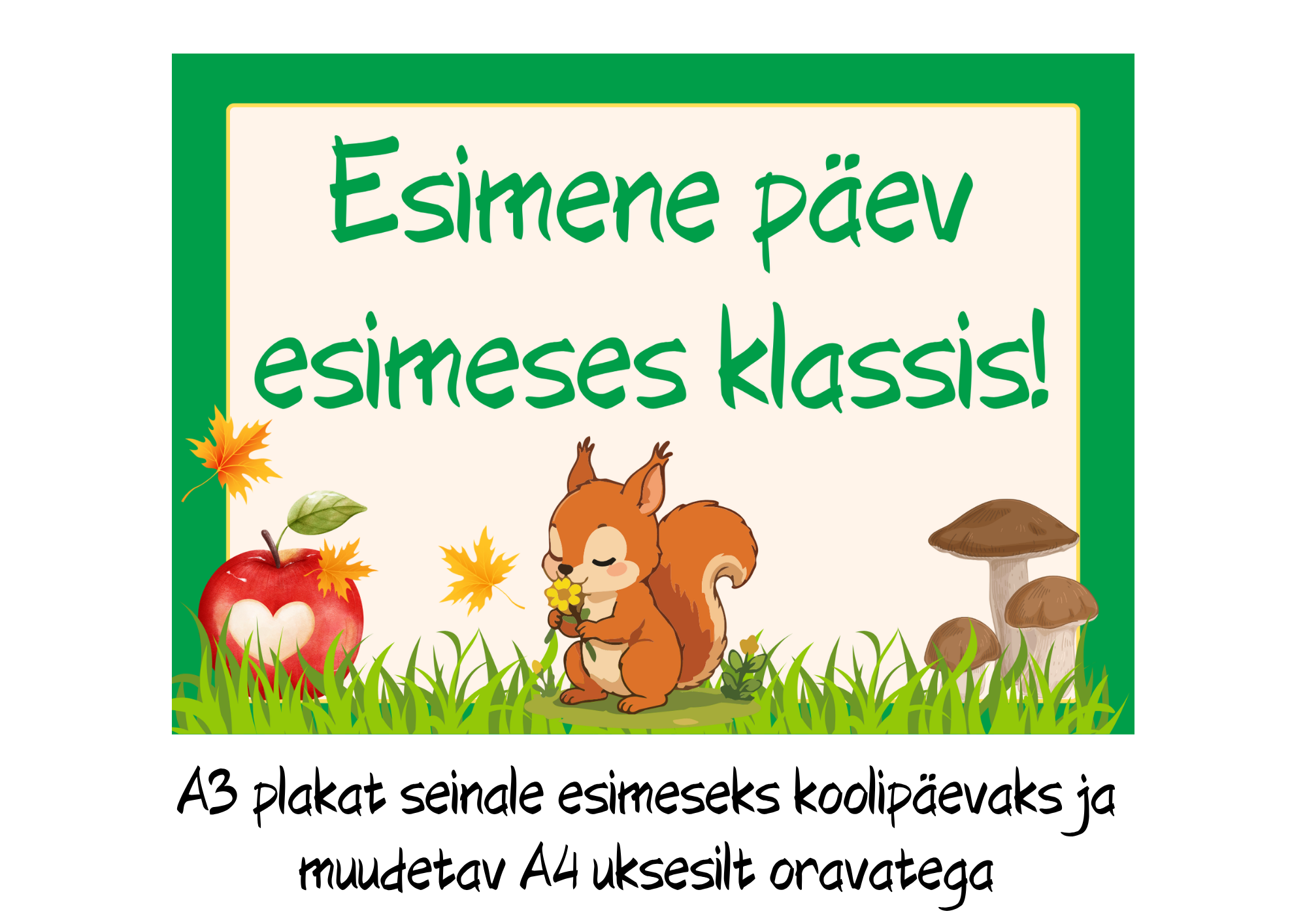 ORAVATEGA KOMPLEKT KOOLI ALGUSEKS – kõik vajalik 1. klassi õpetajale! - Pilt 4