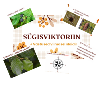 SÜGISVIKTORIIN (slaidid+vastused)