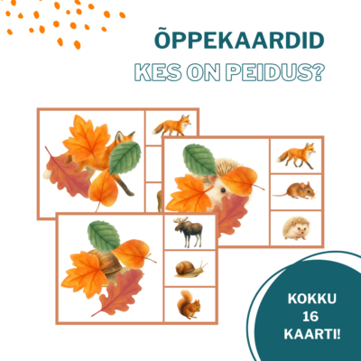Õppekaardid KES ON PEIDUS?