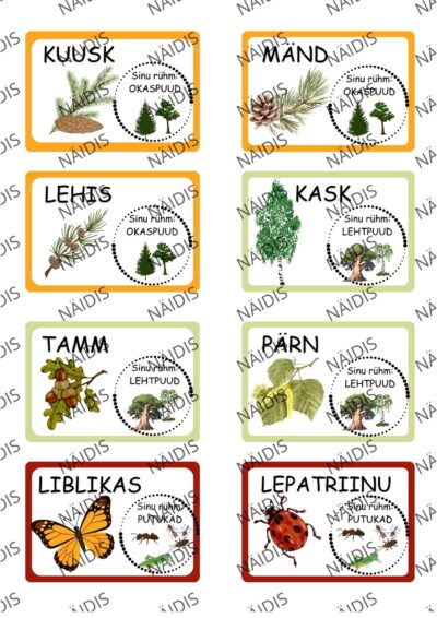 Loosid - kolmesed rühmad, teema "LOODUS"