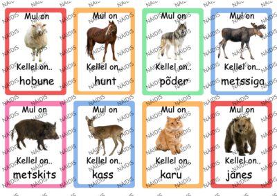 Mul on... Kellel on... - LOOMAD