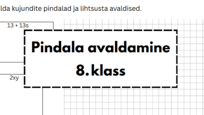 TÖÖLEHT: pindalade avaldamine