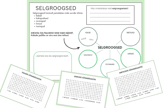 SELGROOGSED (tööleht+5 sõnarägastikku)