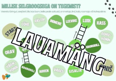 SELGROOGSED lauamäng