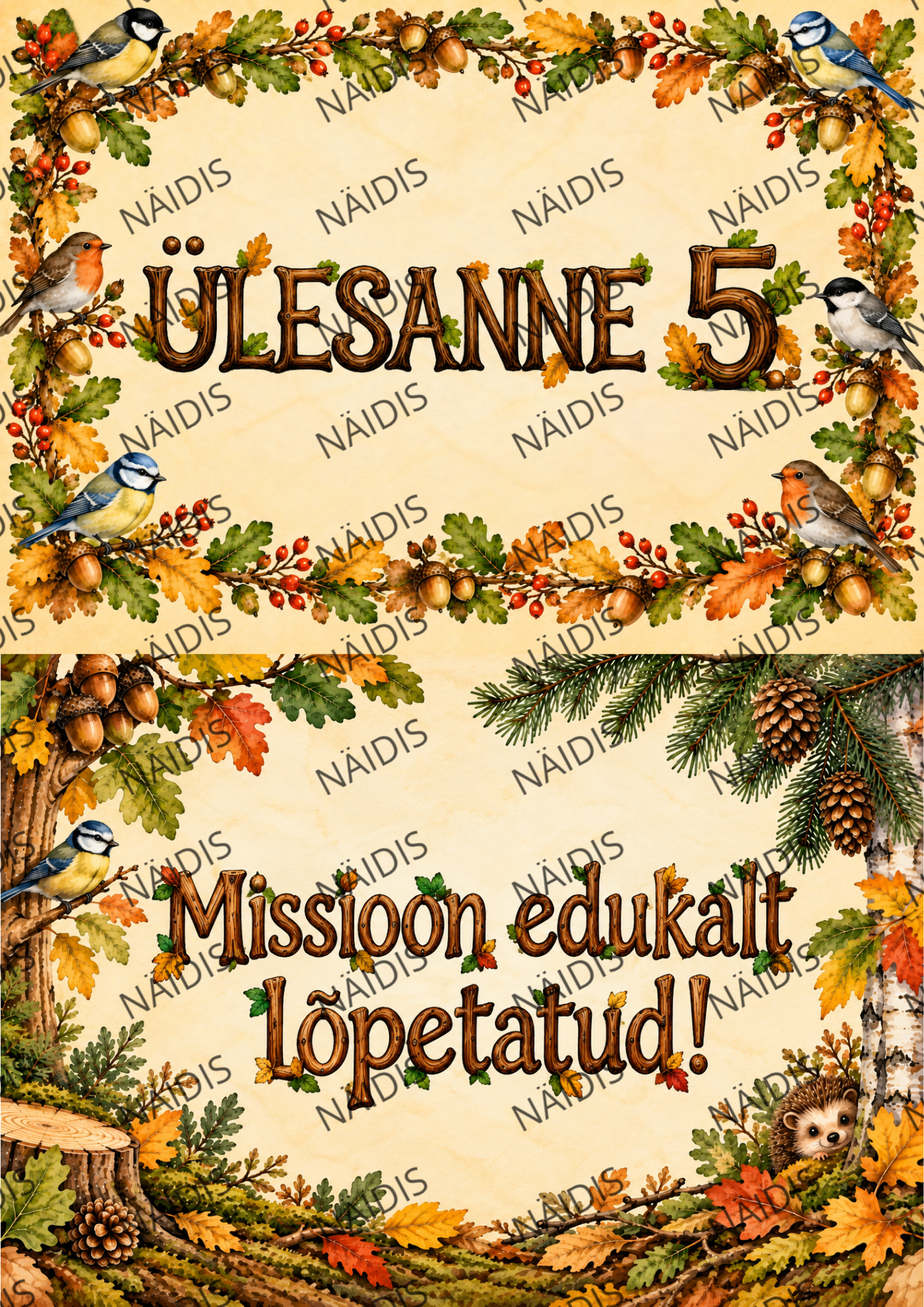 Puude salajane missioon - põgenemistuba - Pilt 8