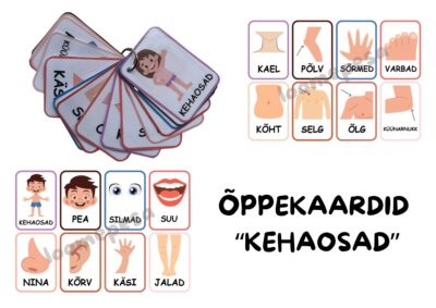 Õppekaardid "Kehaosad"