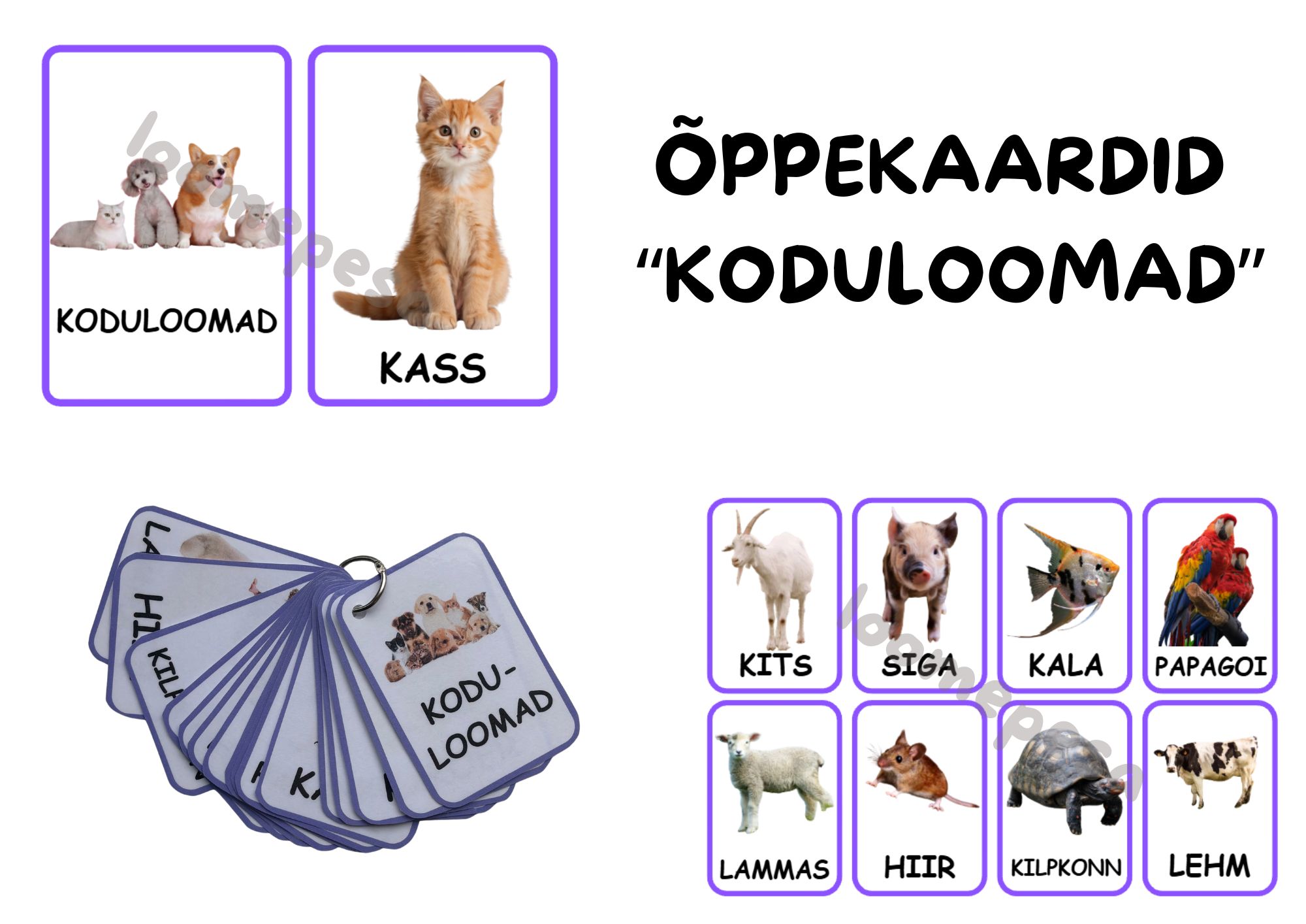 Õppekaardid "Koduloomad"