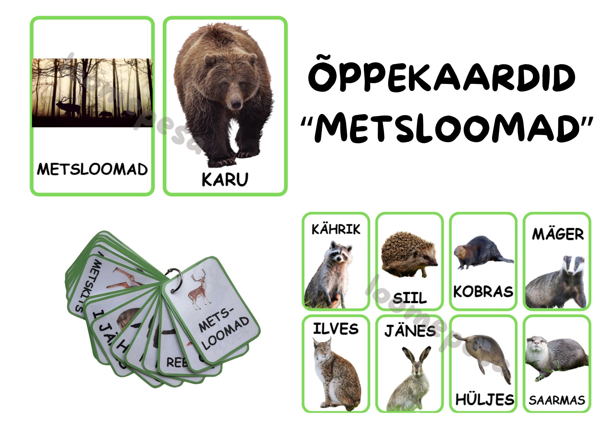 Õppekaardid "Metsloomad"