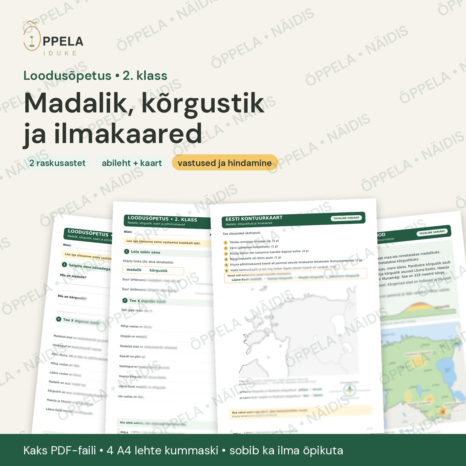 Loodusõpetus 2. klass: madalik, kõrgustik ja ilmakaared (2 raskusastet)