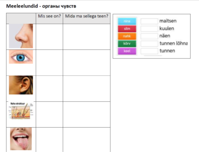 Meeleelundid – töölehed, pildid ja kuulamismäng
