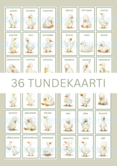 Tundekaardid koos suunavate küsimustega