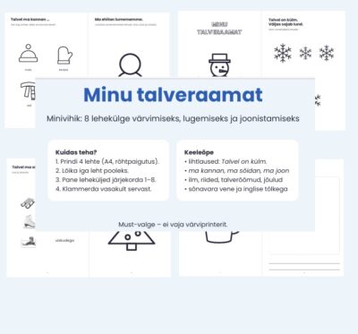 Minu talveraamat