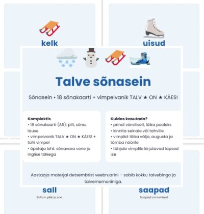 SÕNASEIN: talv